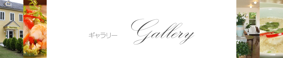 ギャラリー～Gallery～